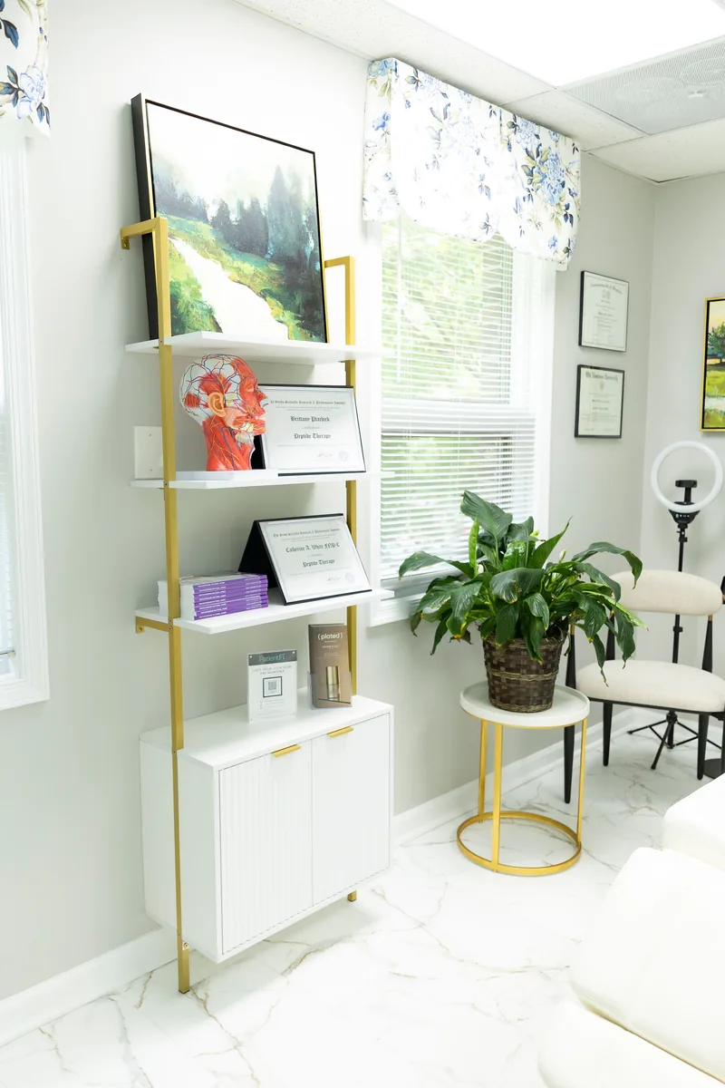 A consultation corner at Colonial Aesthetics with a shelving unit, a plant and a ring light